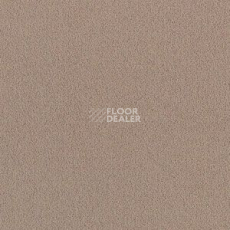 Ковролин Brintons Majestic Mink m 382 фото 1 | FLOORDEALER